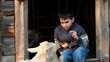 Young boy feeding the goat