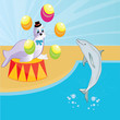 Circus