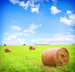 haystack