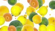 Citrus Fruits background (with alpha)