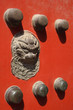 Lion Detail On An Ancient Gate...