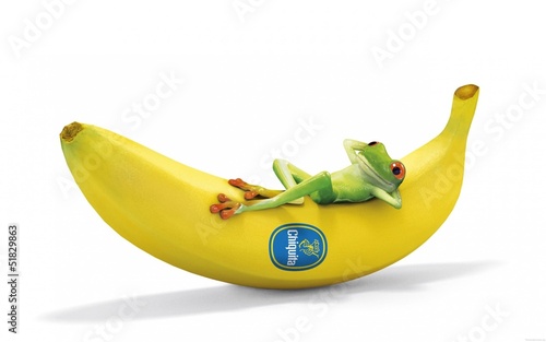 Illustration: Rã na Banana Rã na Banana