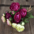 pink ranunculus (persian buttercup) laying on the wood table