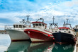 Fishing Boats Garrucha Harbor, Almeria, Andalusia, Spain