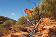 Photo: Man sitting on the rock edge Man sitting on the rock edge