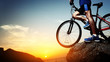 Rider