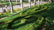 Video: time lapse people walking in the park time lapse people walking in the park