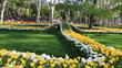 Video: people walking in the park people walking in the park