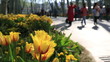 Video: time lapse people walking in the park time lapse people walking in the park
