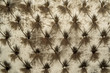 Beige color sofa upholstery