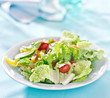 garden salad with fresh vegetables with copy space composition