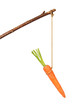 Carrot on Stick