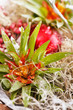 nature background