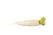 White Radish