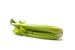 Green Celery