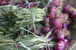 Tropea Cipolle