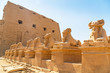 Ancient statues of Ram-headed sphinxes in Karnak temple, Luxor