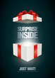 Vektor: Surprise Inside Surprise Inside