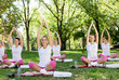 Meditation group in park