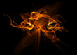 Fire flames on black background