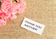 Pink carnations flower for Mother day
