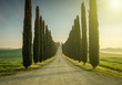 Tuscany, Landscape. Italy