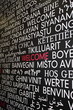 Welcome in many different language s from around the world