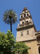 Patio de los naranjos, Cordoue