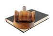 Judge's gavel land egal book isolated on white