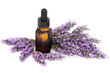 Photo: Lavender Herb Flowers Lavender Herb Flowers