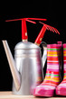 gardening time tools isolated on black