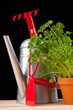 gardening time tools isolated on black