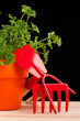 gardening time tools isolated on black