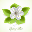 Spring time