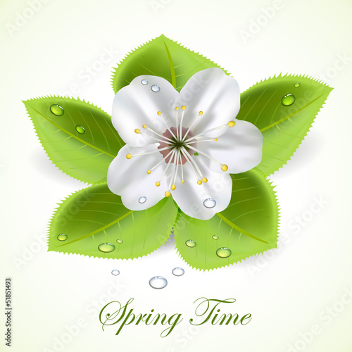Vector: Spring time Spring time