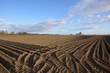 Photo: springtime potato rows springtime potato rows