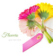 Photo: Colorful gerbera flowers with gift tag Colorful gerbera flowers with gift tag