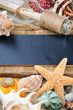 Marine frame with colorful sea shells