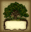 Oak tree wih a banner