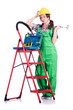 Woman repair worker with ladder