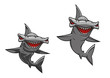 Hammer fish shark