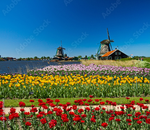 Photo: windmill in holland windmill in holland