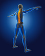 Illustration: 3D medical man with skeleton 3D medical man with skeleton