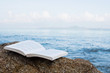 Book On The Beach
