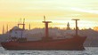 Cargo ship sails on sunset in Istanbul