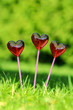 Red lollipops in heart shape, on fresh green grass, in the garde
