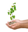 Photo: Investment to green business Investment to green business