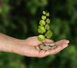 Photo: Investment to green business Investment to green business