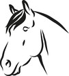 Horse vector illustration