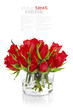 Beautiful red roses